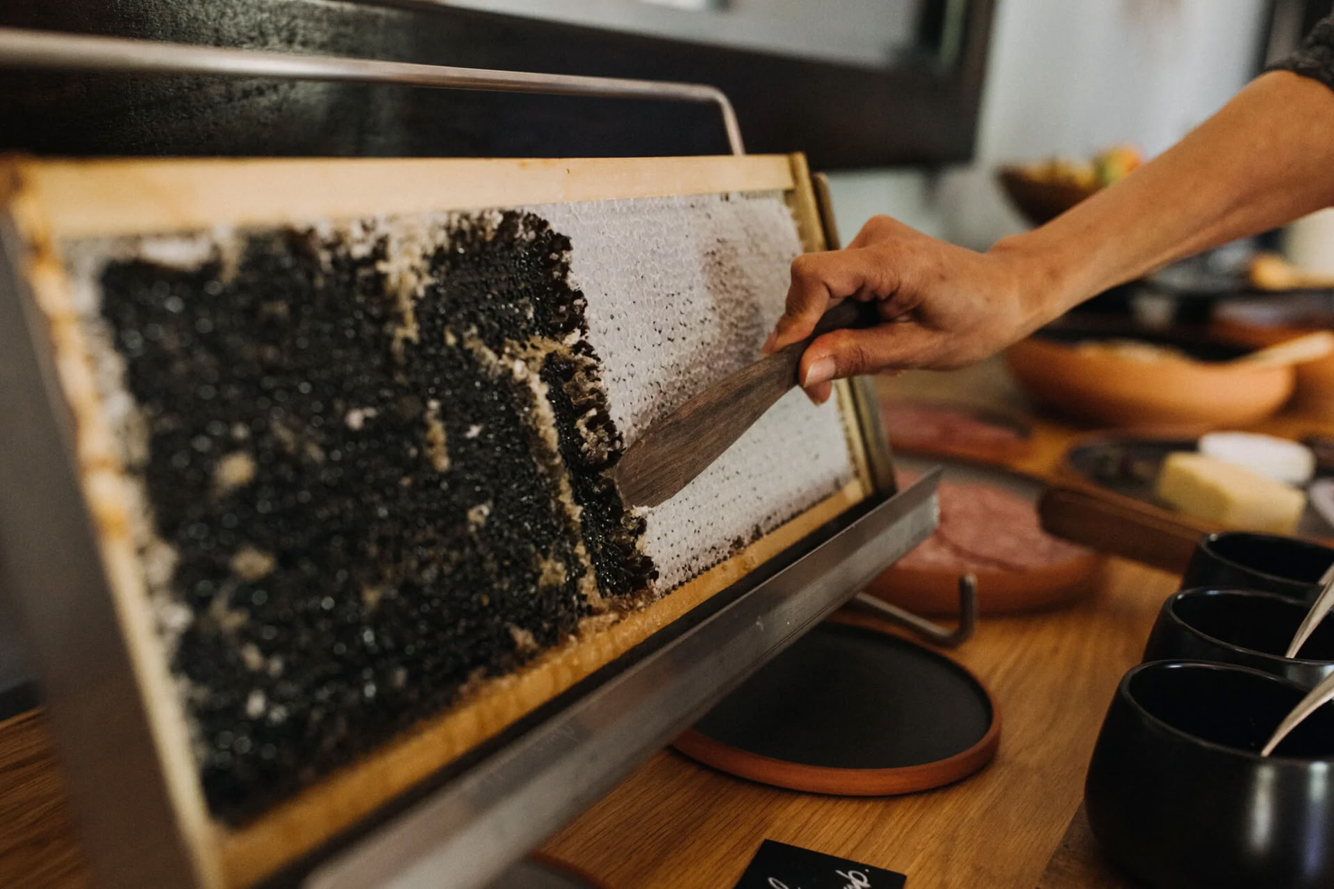 Luonto- ja joogatapahtuma – Eteläsaari, Uusi-Seelanti Joan Hymanin kanssa
