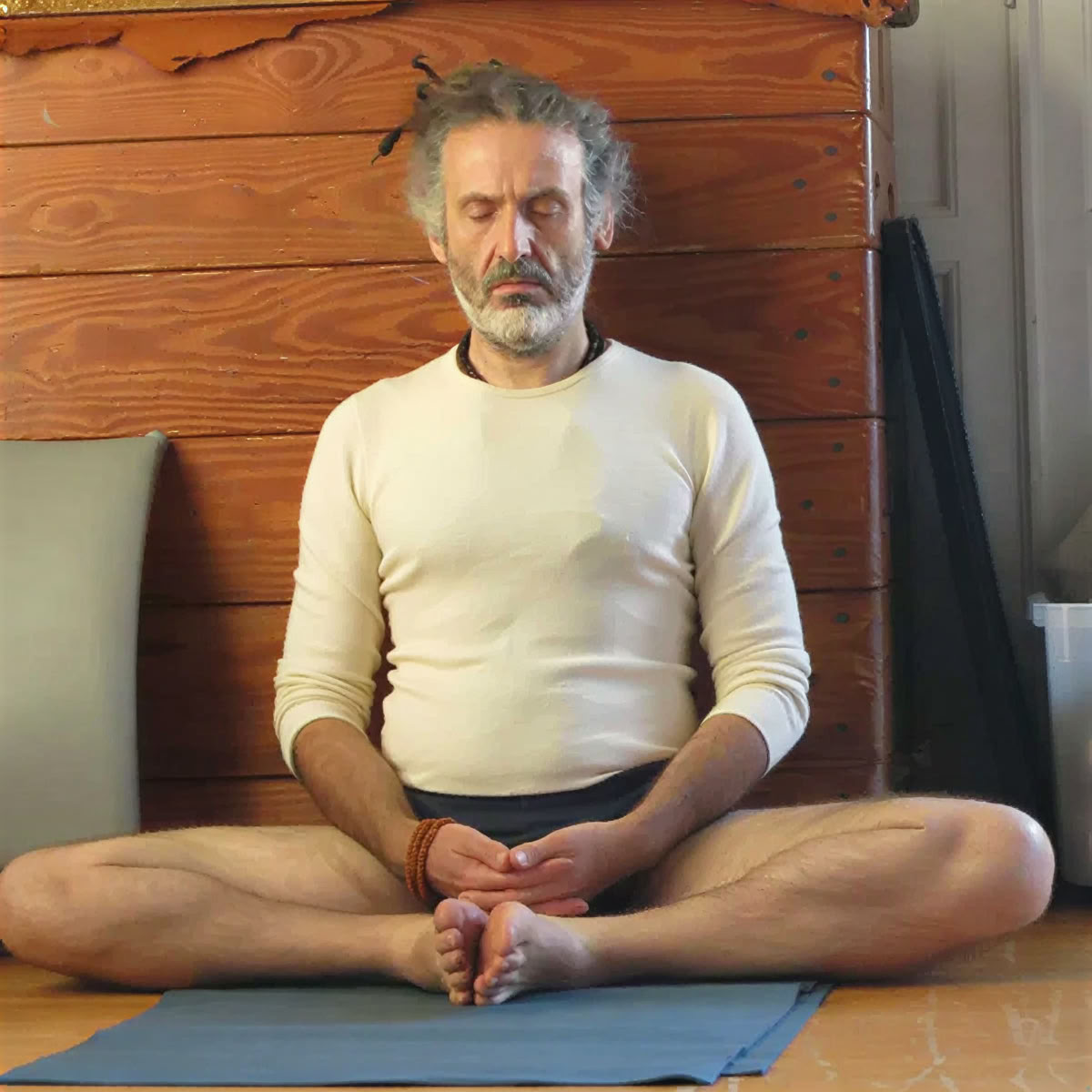 200 tunnin joogaopettajakoulutus, taso I | Iyengarjooga, hathajooga – kriya- ja tantrajooga
