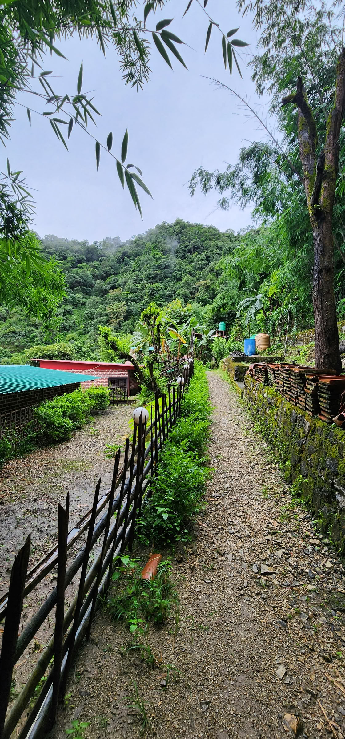 6 päivän antautumisen retriitti Rishikeshissä