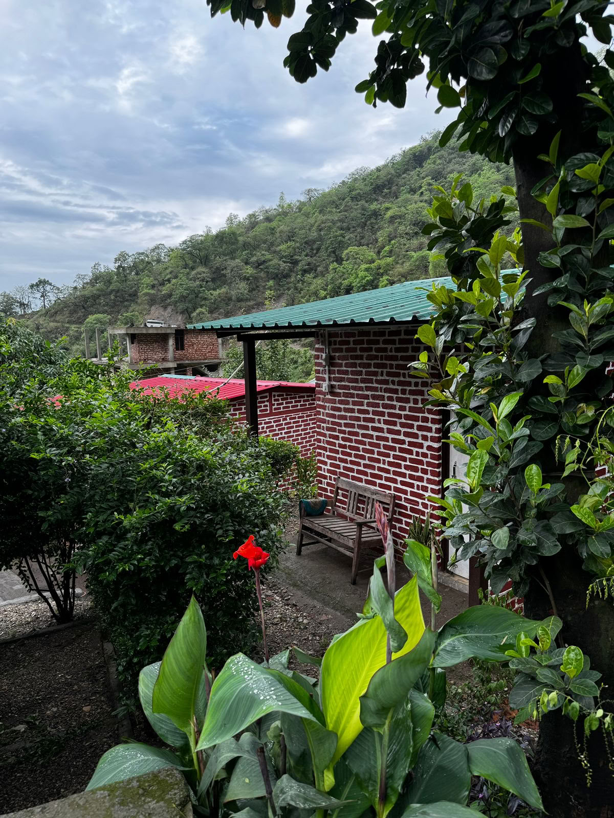 6 päivän antautumisen retriitti Rishikeshissä