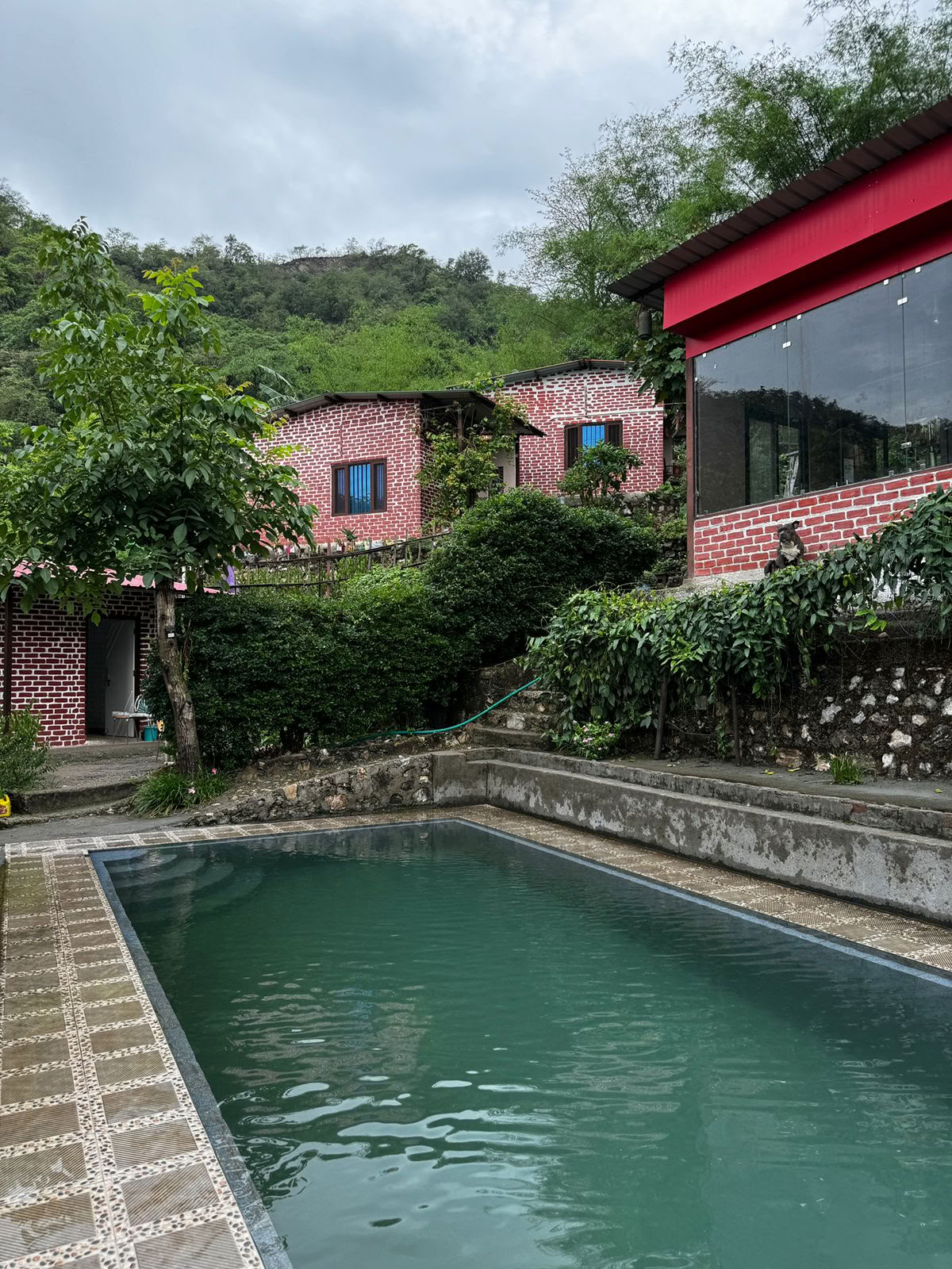 6 päivän antautumisen retriitti Rishikeshissä