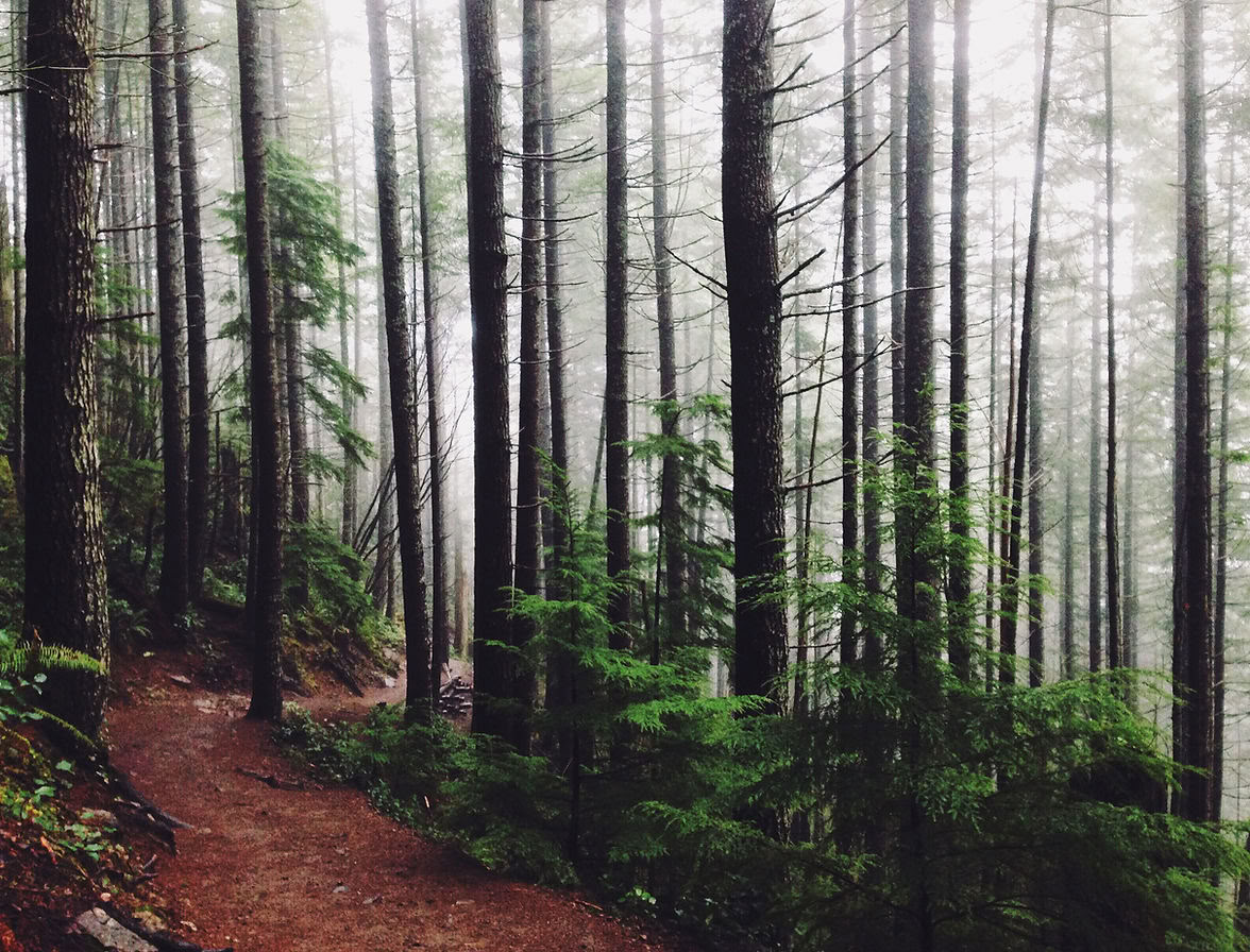 Poonhill - joogavaellus