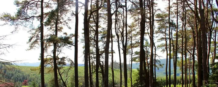 Paluu Mucklaghiin – Samhain — Mucklagh Lodge