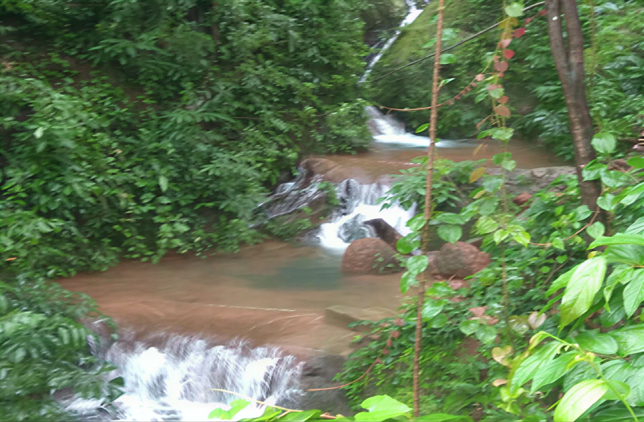 Ayurveda tiivistetty kurssi