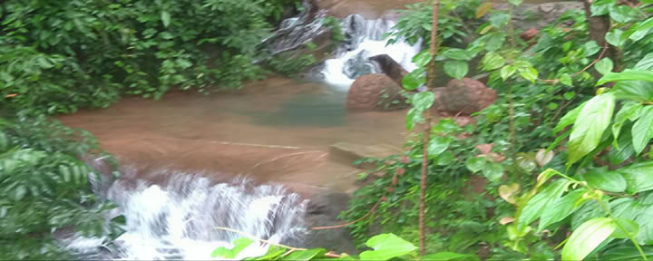 Ayurveda tiivistetty kurssi
