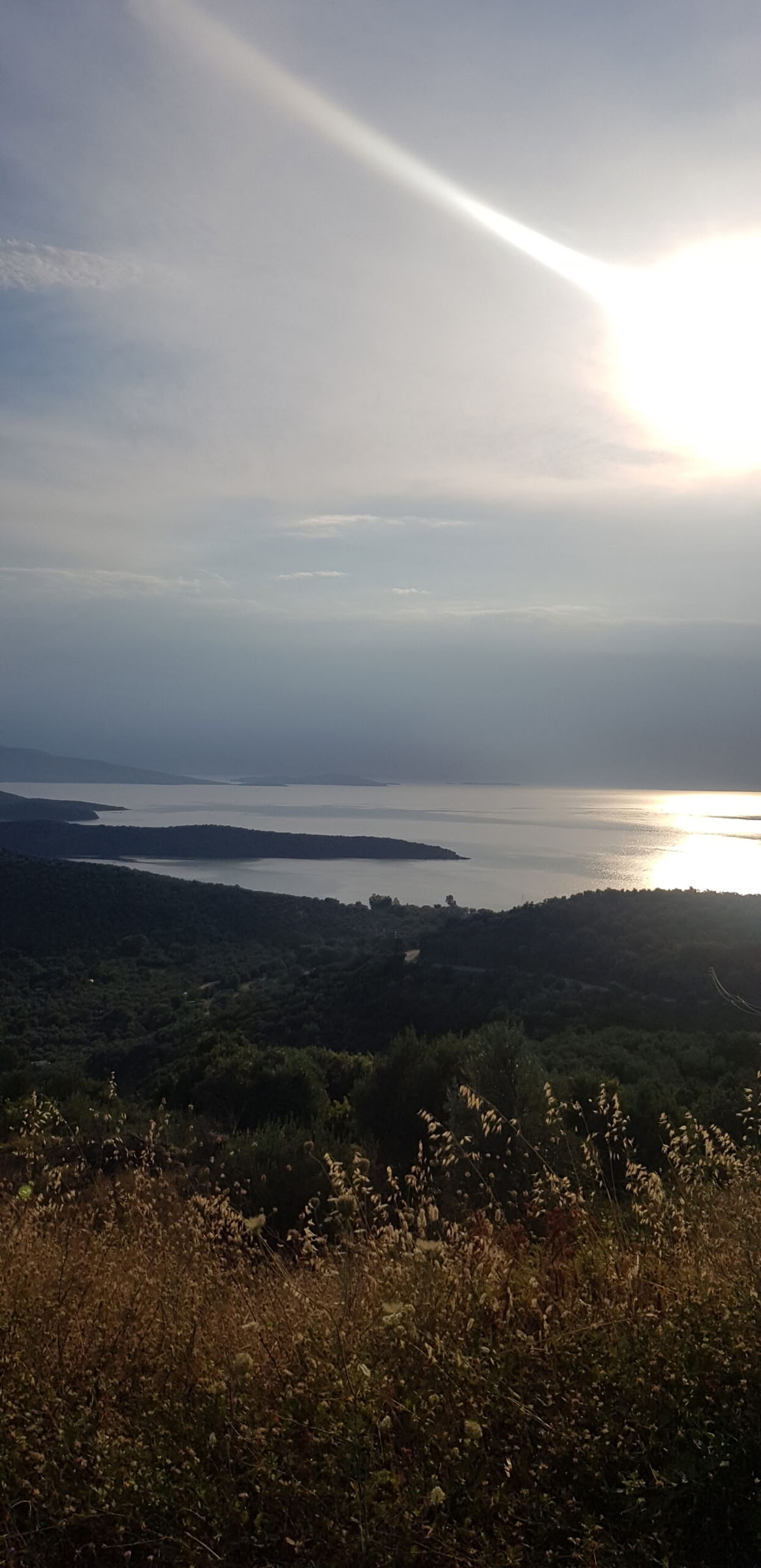 Essealaisten parantava voima