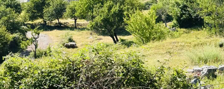 Razma-vuoren hyvinvointiretriitti kehon, mielen ja harmonian tasapainoon