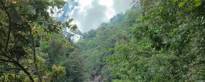 Pacuare-joen vaijeriliuku