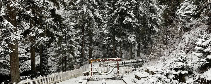 Intensiivinen jooga- ja hyvinvointiretriitti Ranskan Alpeilla