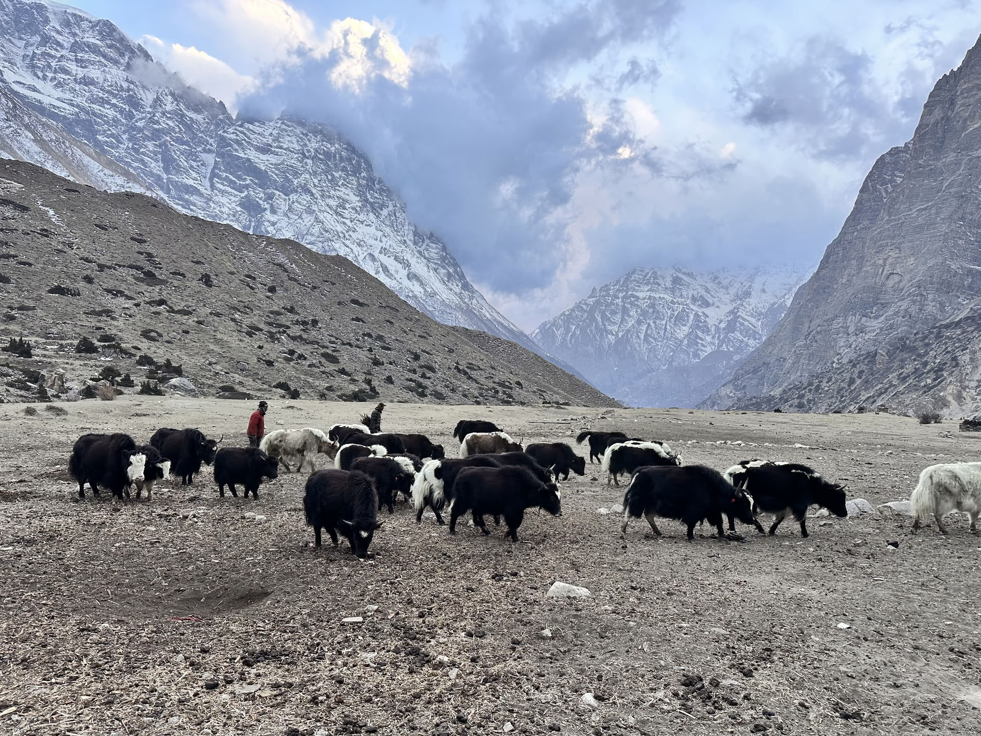 Annapurnan kierroksen joogavaellus