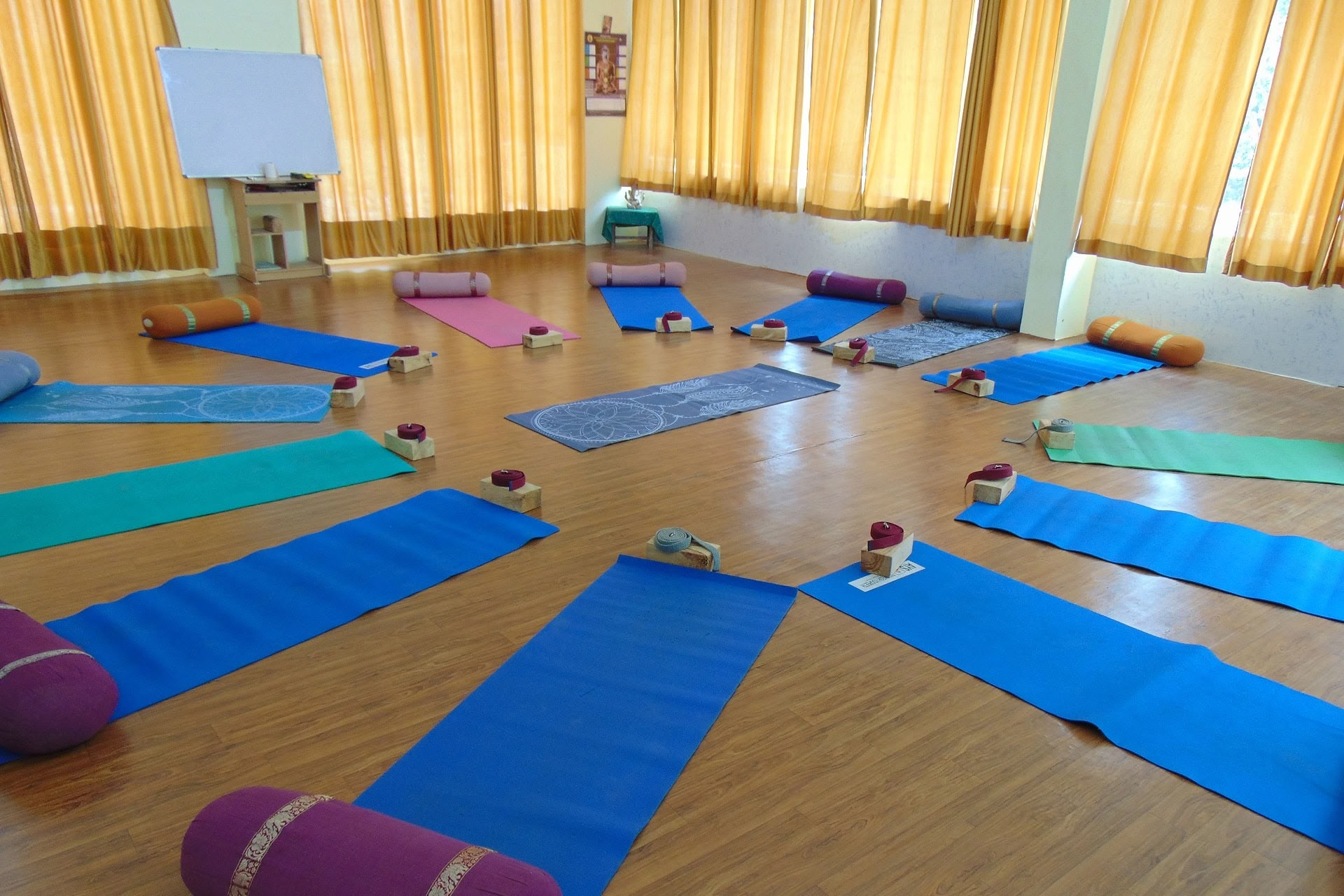 6 päivän yinjoogakurssi Rishikeshissä