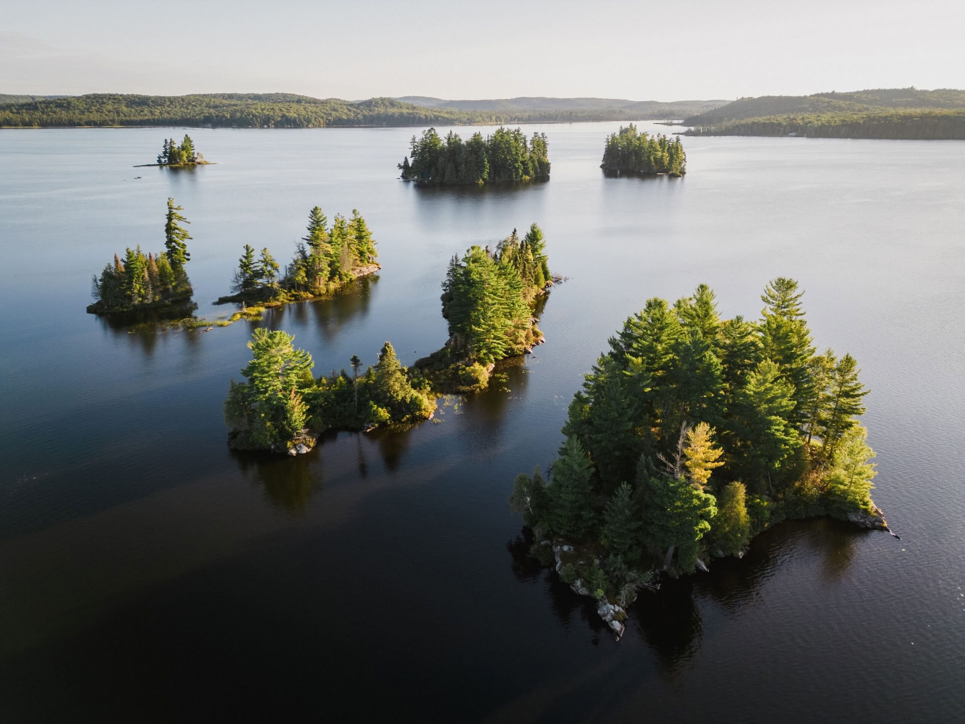 Syyslaulu: Voima ja irtipäästäminen