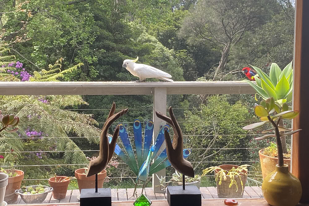 3 päivän yksityinen joustava hengellinen retriitti 1 tunnin päässä Melbournesta