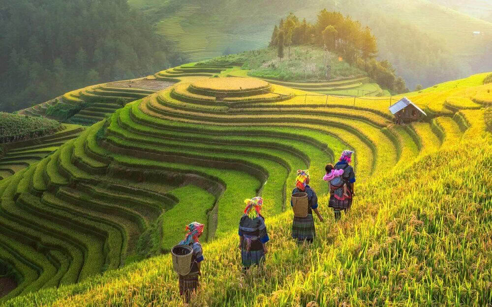 Rikastava jooga- ja vaellusretriitti Vietnamissa 2026