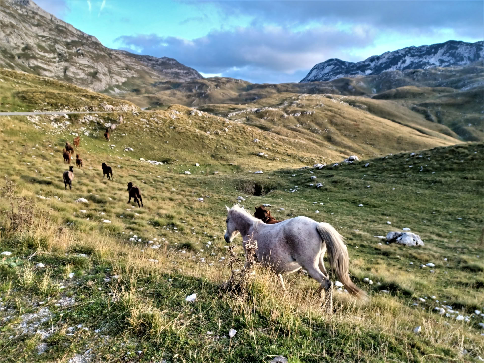 7 päivän vuoristovaellusloma Montenegrossa