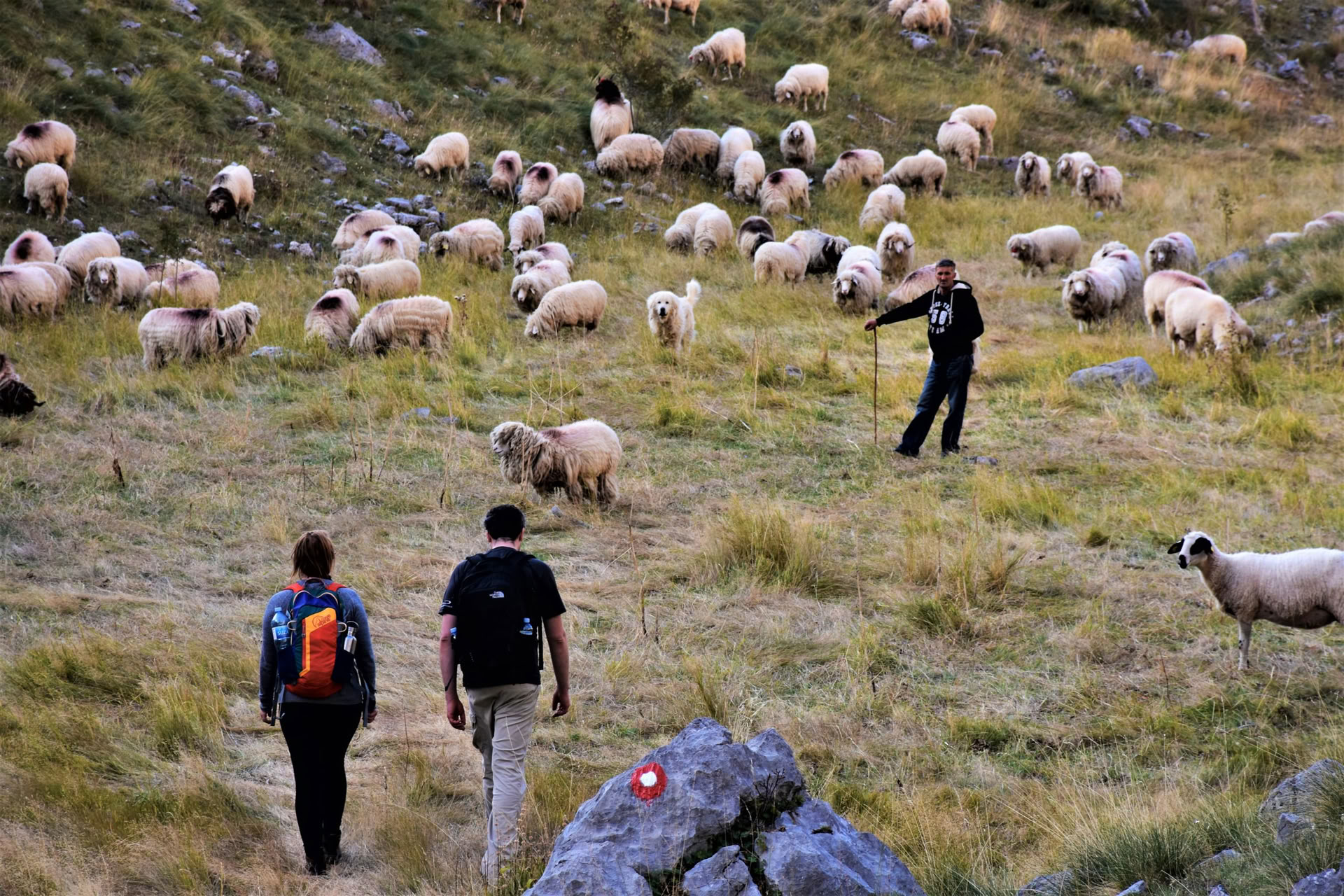 7 päivän vuoristovaellusloma Montenegrossa