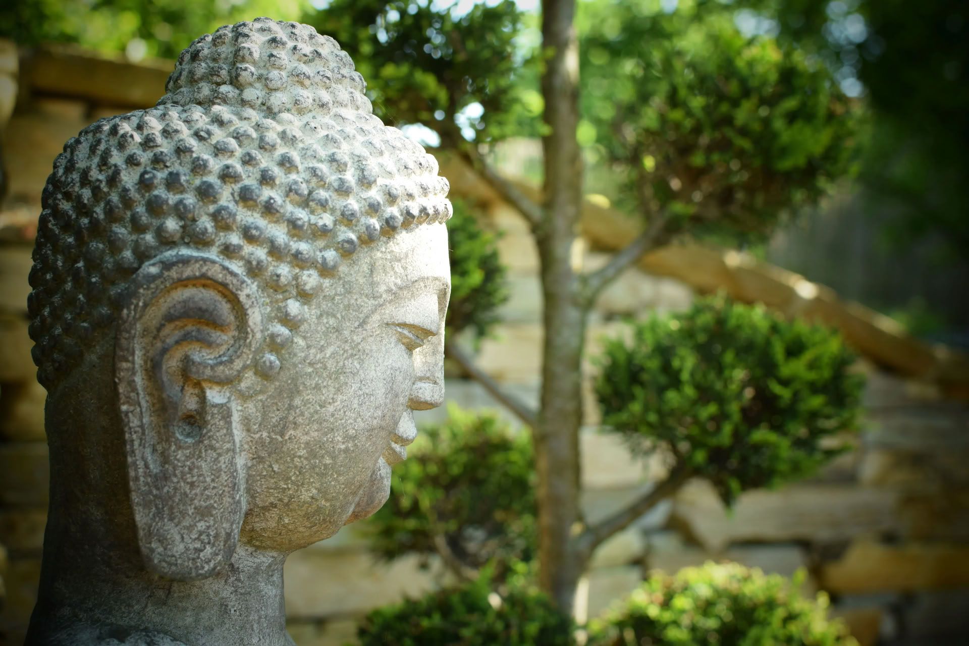 Vipassana (oivallusmeditaatio)