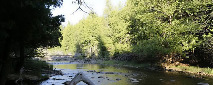 Sateenkaaren tuolla puolen