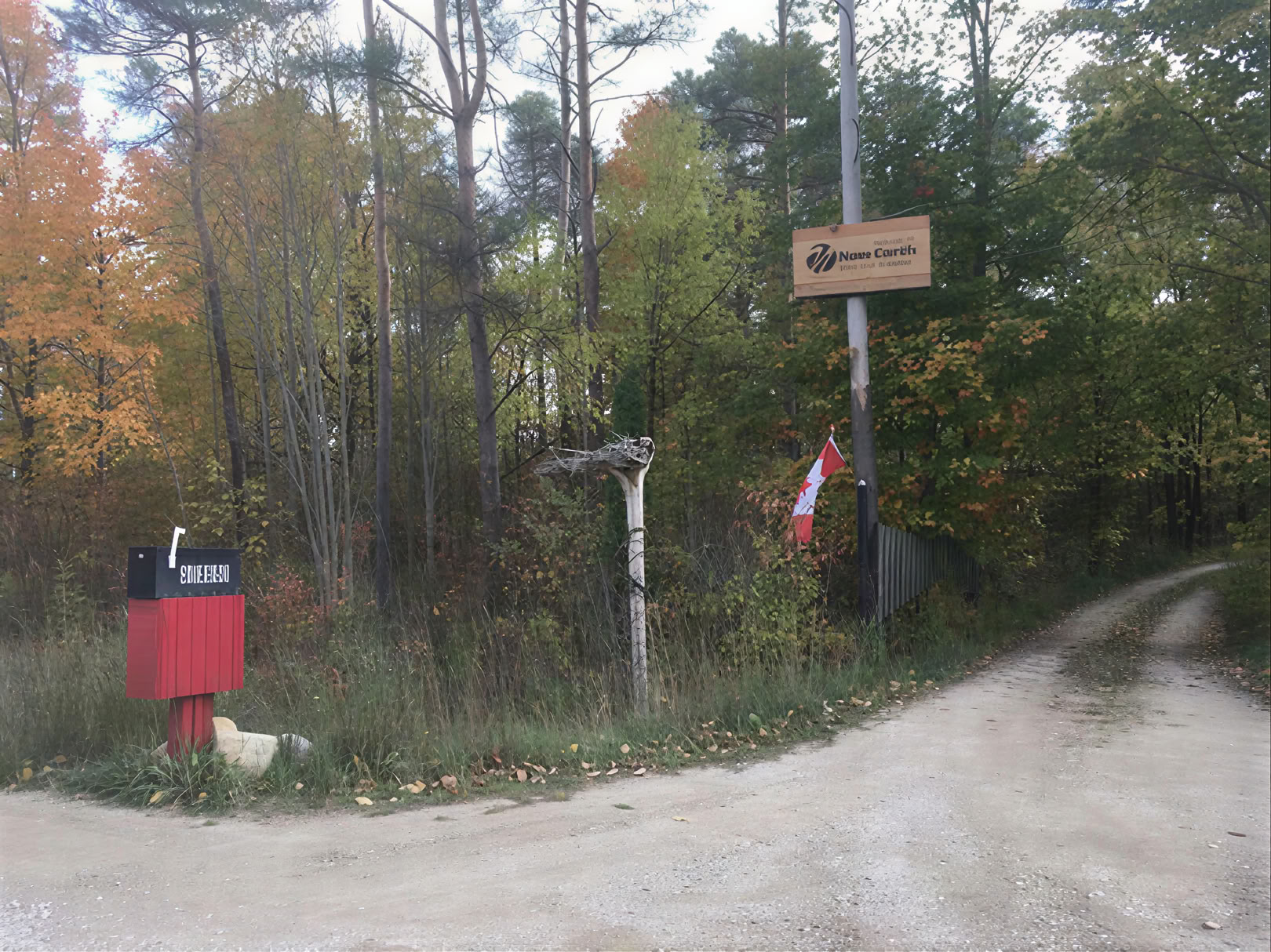 Lumikenkäily