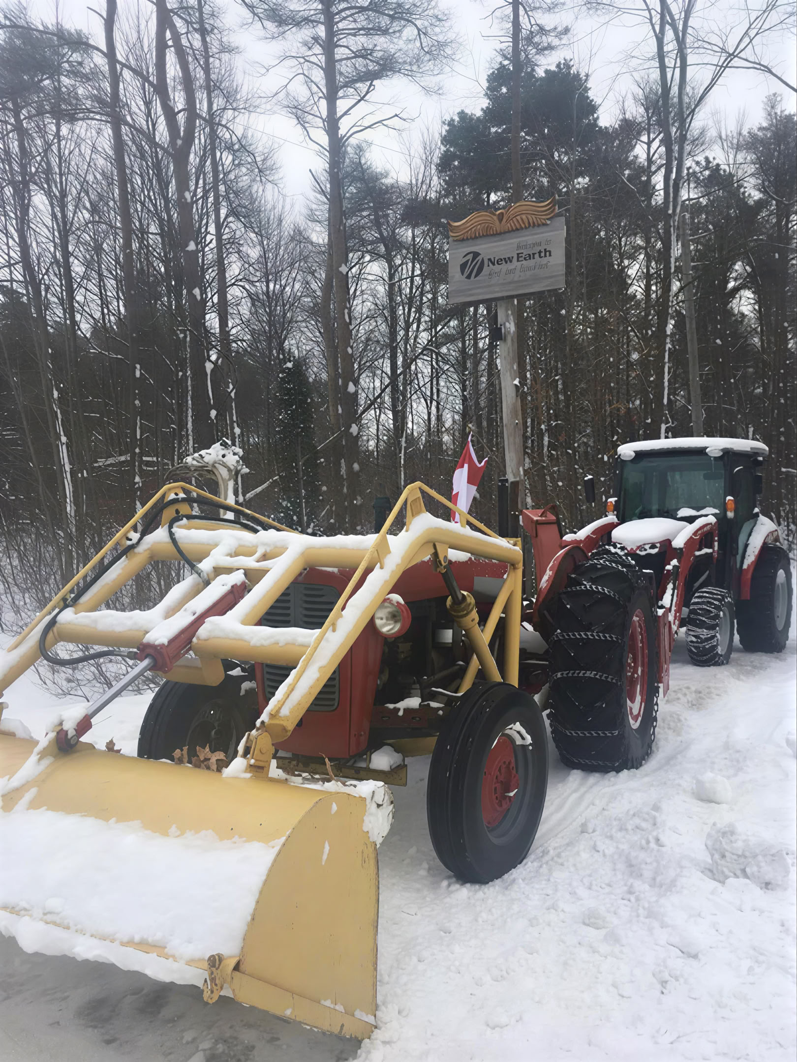 Kasvilääkeretriitti