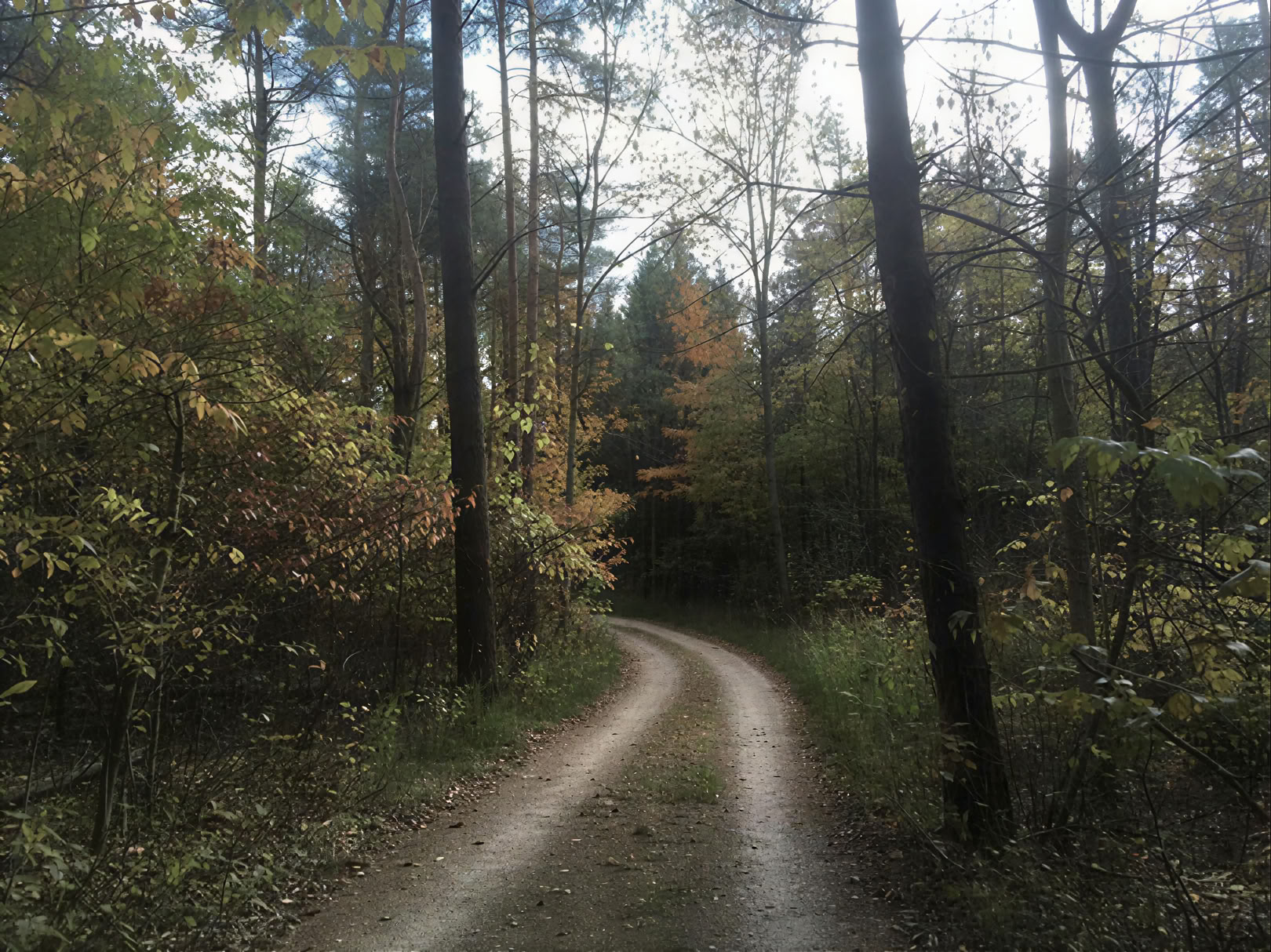 Kasvilääkeretriitti