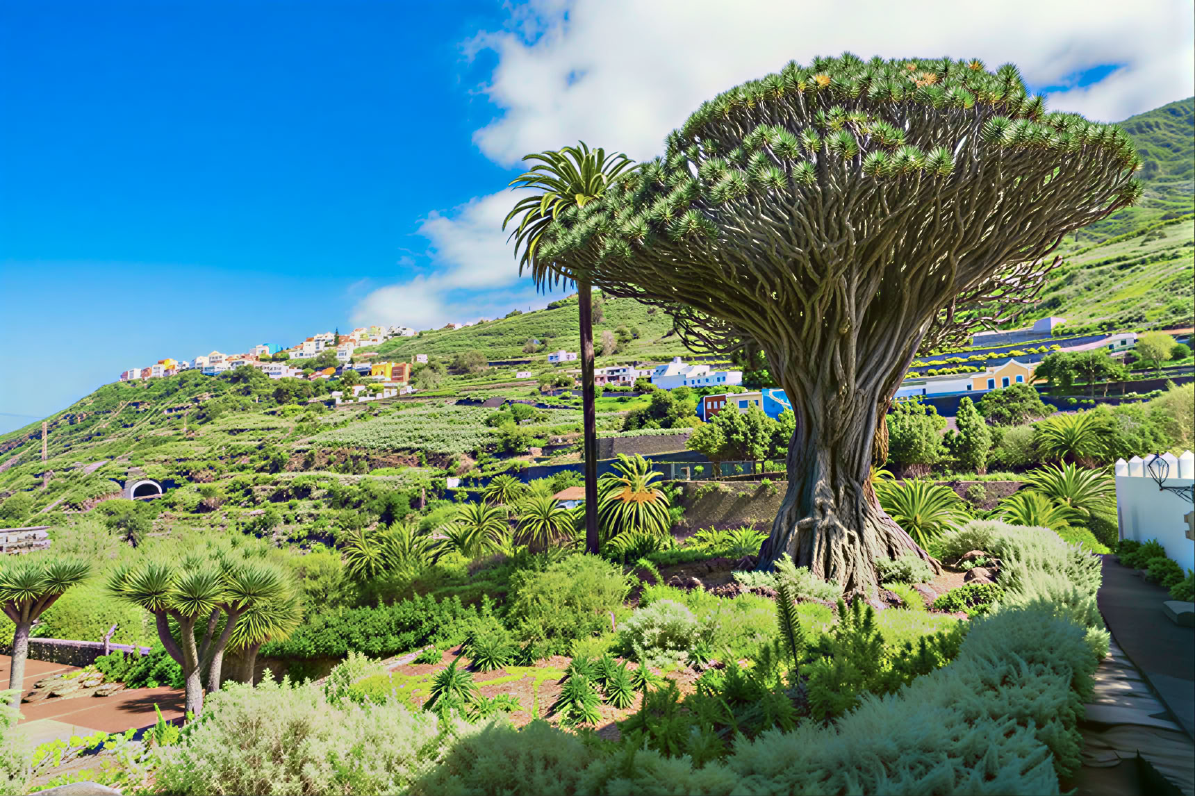 Teneriffan meditaatiokierros