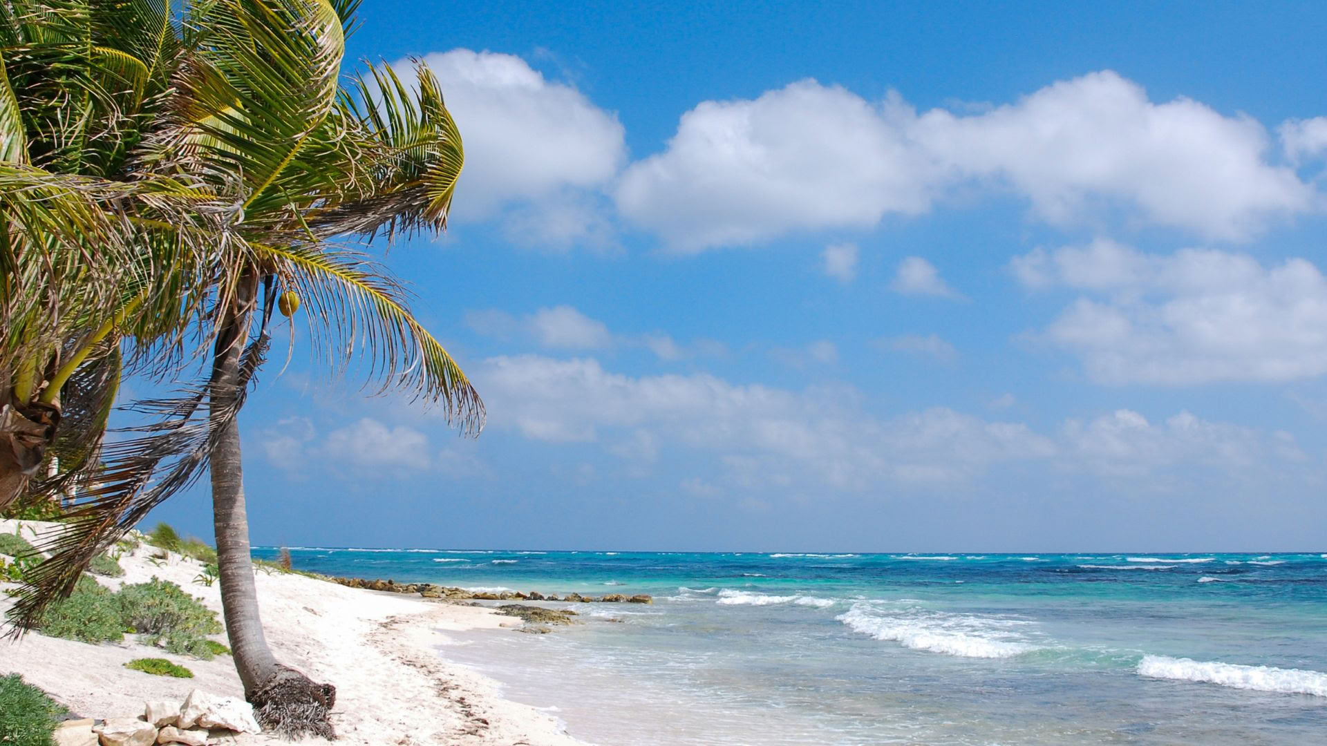 Akumal Wellness -lomaretki: yhden hengen huone omalla kylpyhuoneella