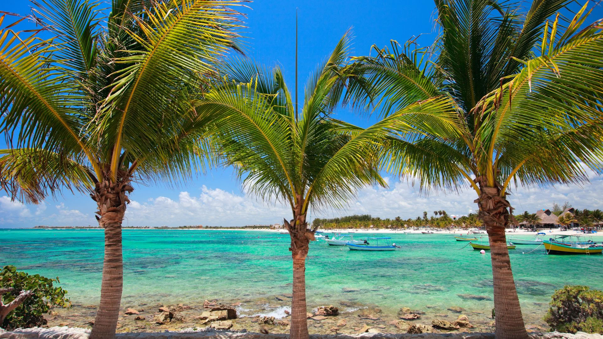 Akumal Wellness -lomaretki: yhden hengen huone omalla kylpyhuoneella