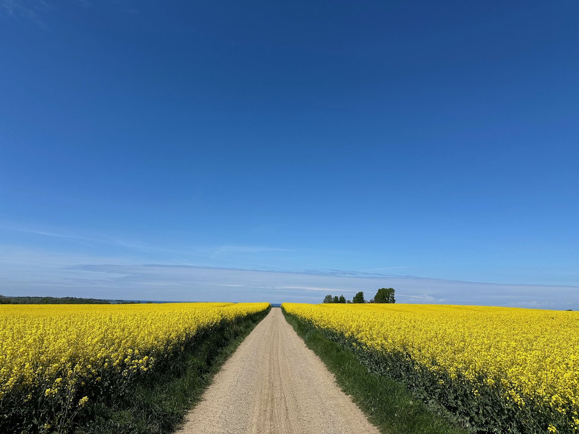 TRE (trauma- ja jännityksenpurkuliikkeet) -työpaja – nollaa hermostosi — The Held Space - hermoston säätelyn retriitit ja työpajat PTSD:n, CPTSD:n (monimuotoinen PTSD), ahdistuksen, loppuunpalamisen, surun, trauman ja kroonisen kivun tueksi