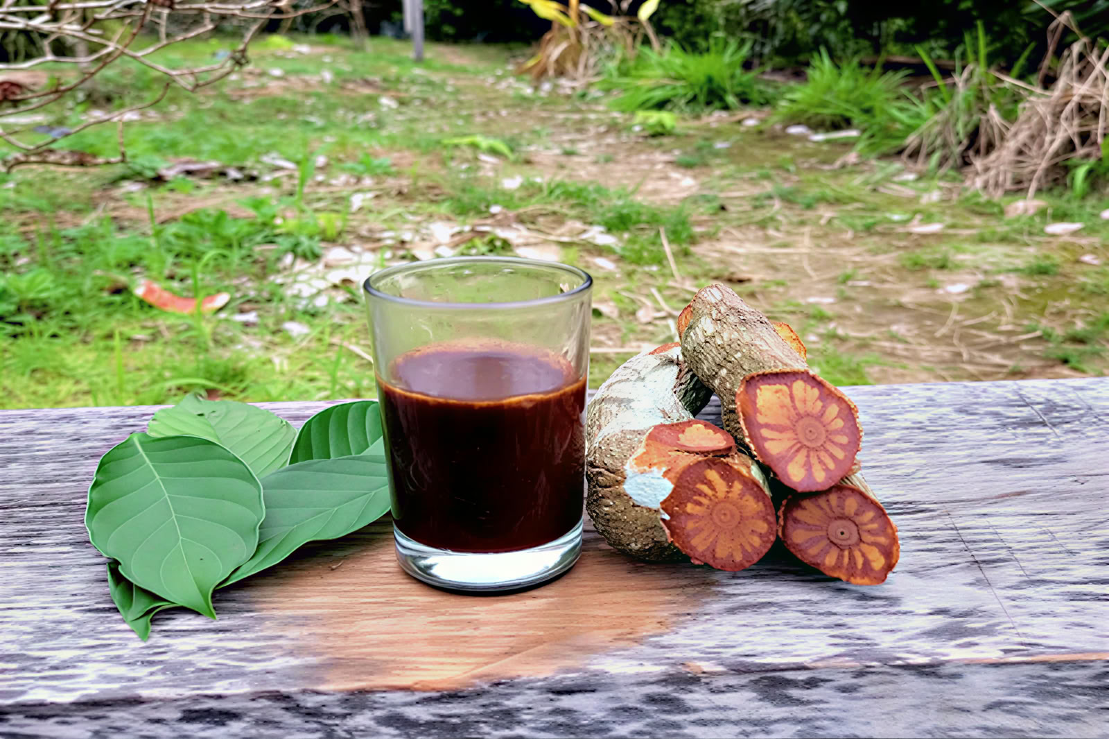1 päivän ayahuascaretriitti