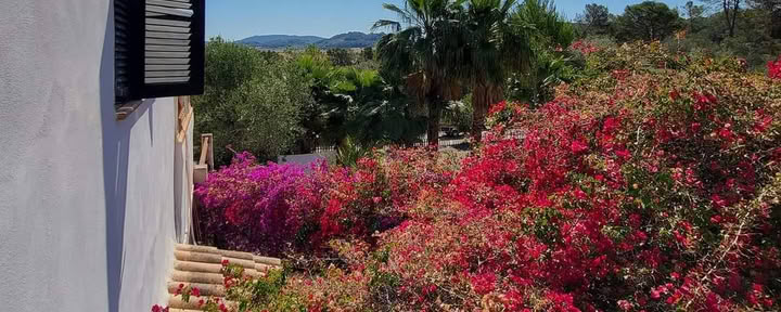 Mallorcan retriitti