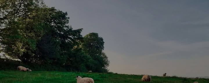Sharpham Trustin retriitti