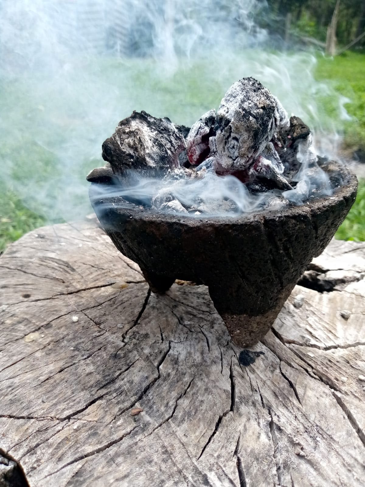 Yksityinen ayahuasca- / San Pedro -seremonia