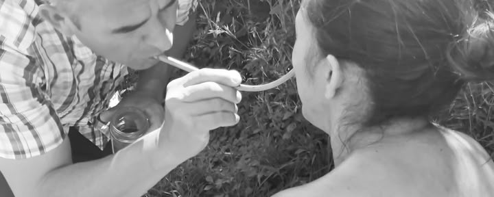 Yksityinen ayahuasca- / San Pedro -seremonia