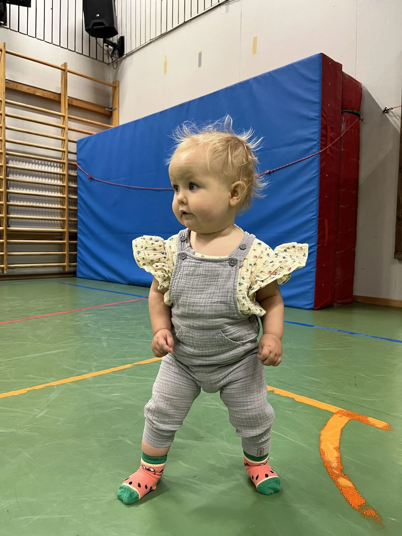Pikkukuntosali