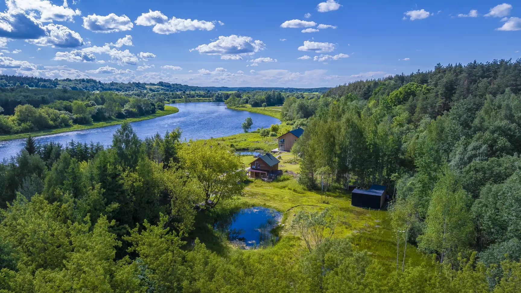 Zen-metsä