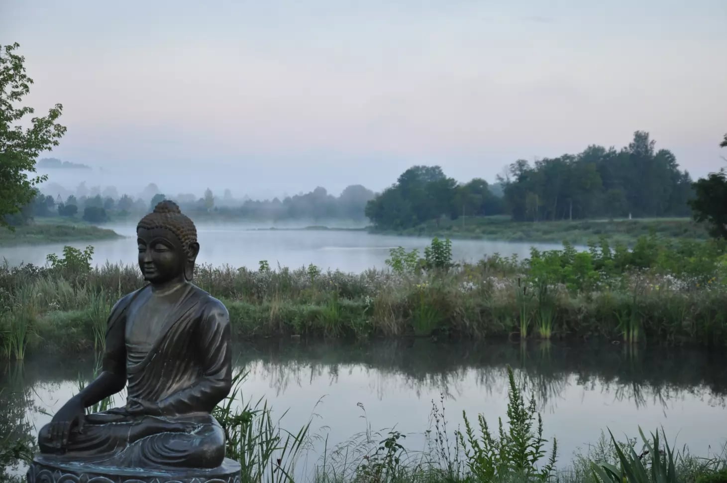 Zen-metsä