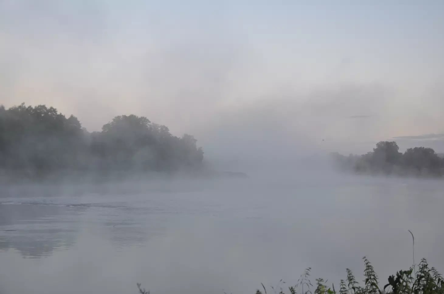 Zen-metsä