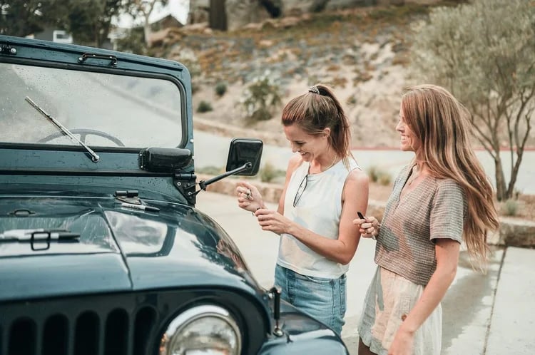 Tammilehdot