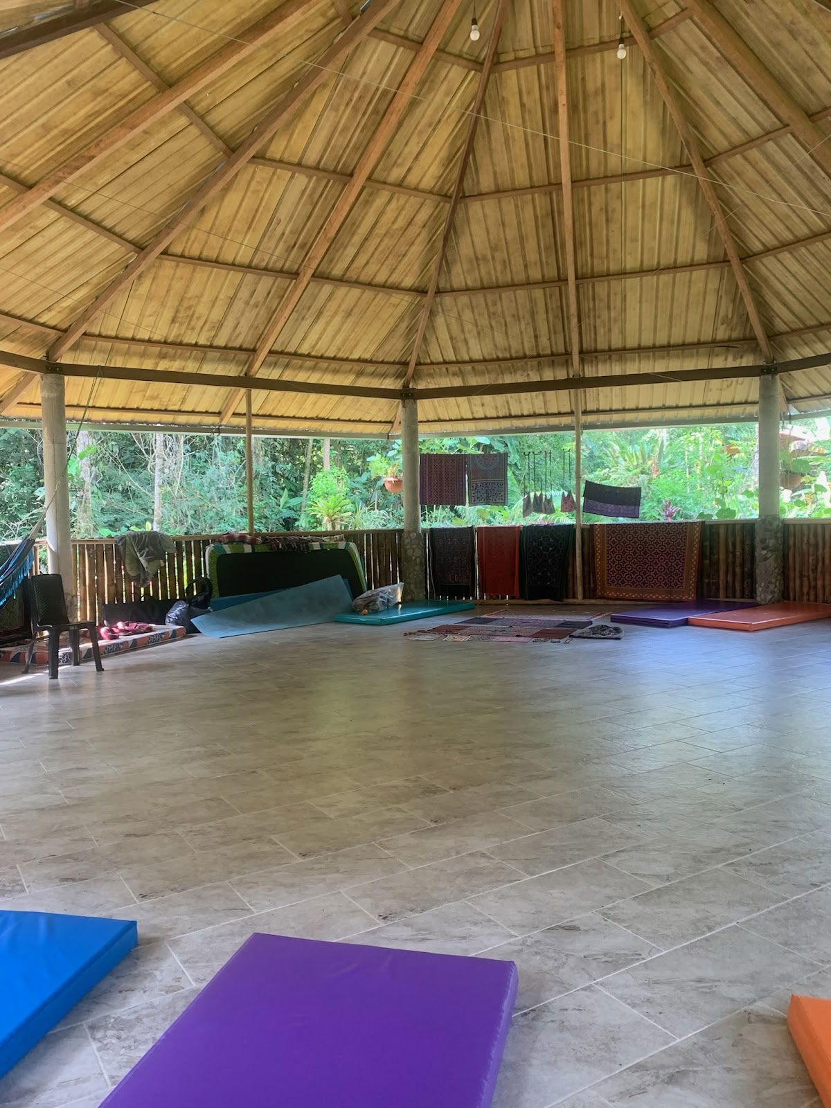 Sulkapäähine Ayahuasca Ecuador