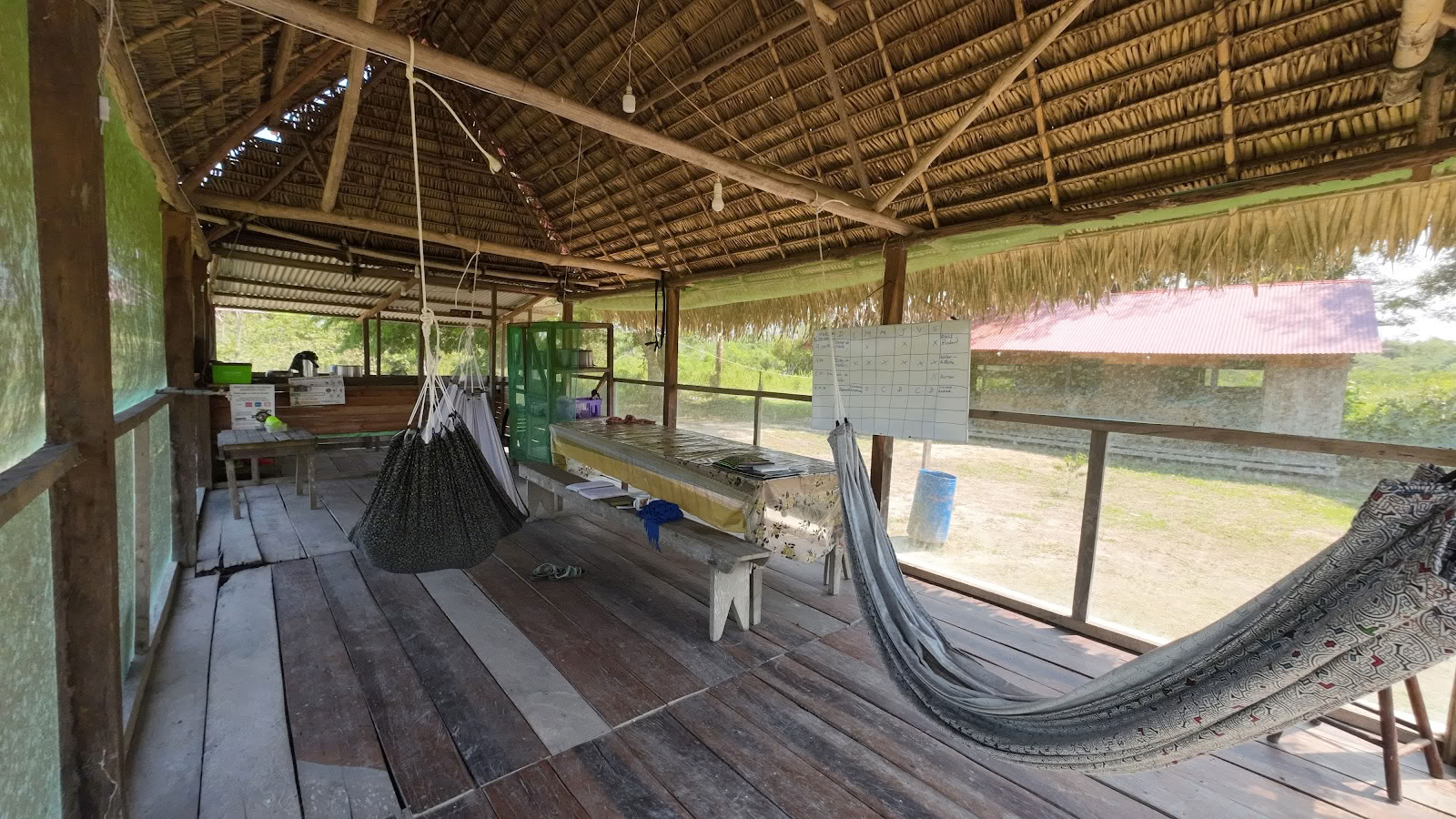Shipibo-ayahuasca ja šamanismin perusteet