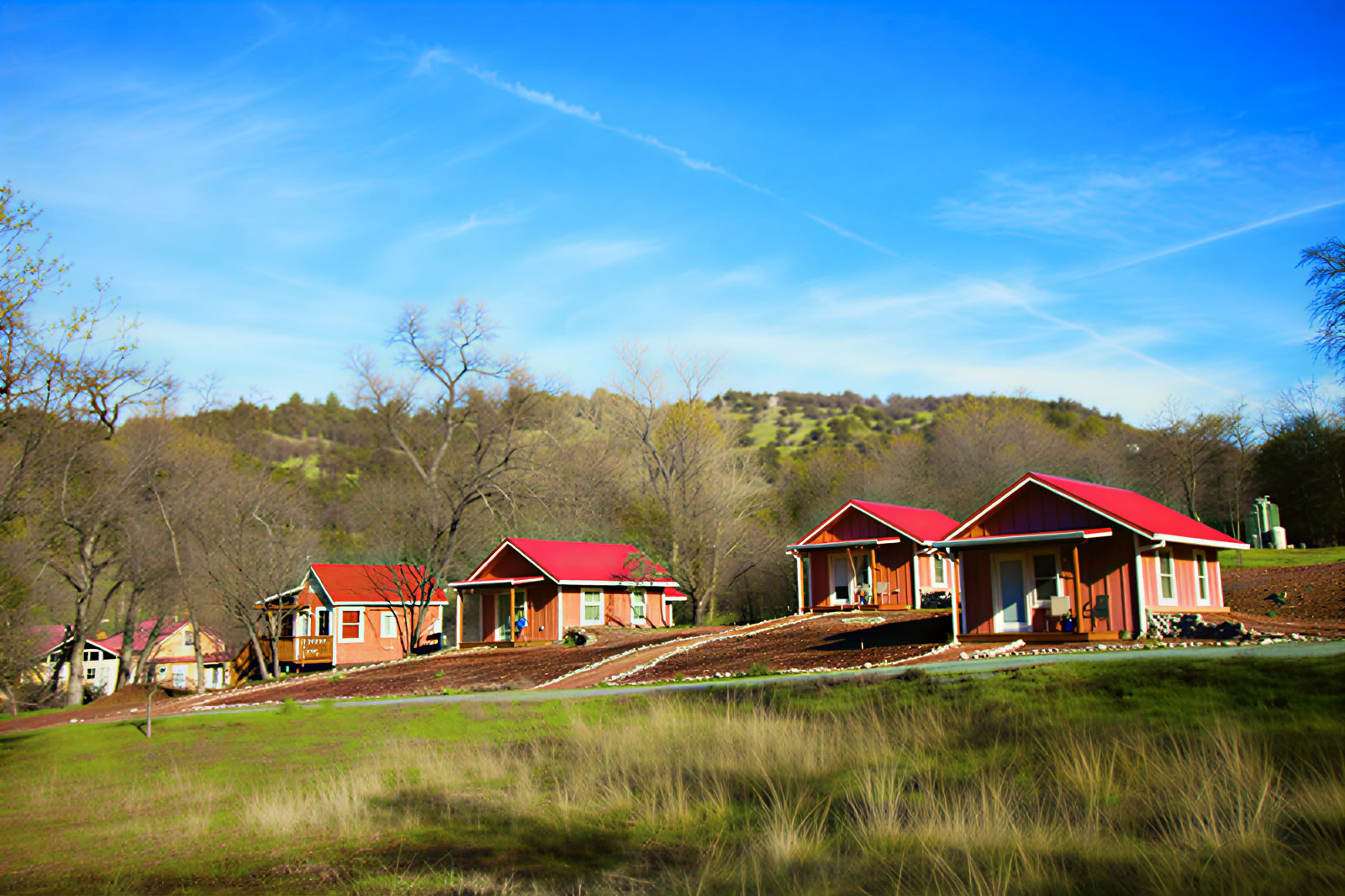 Sivananda Ashram Joogatila