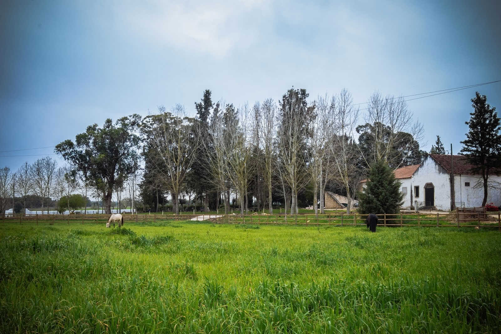 Quinta Carvalhas - AFV Retreatit