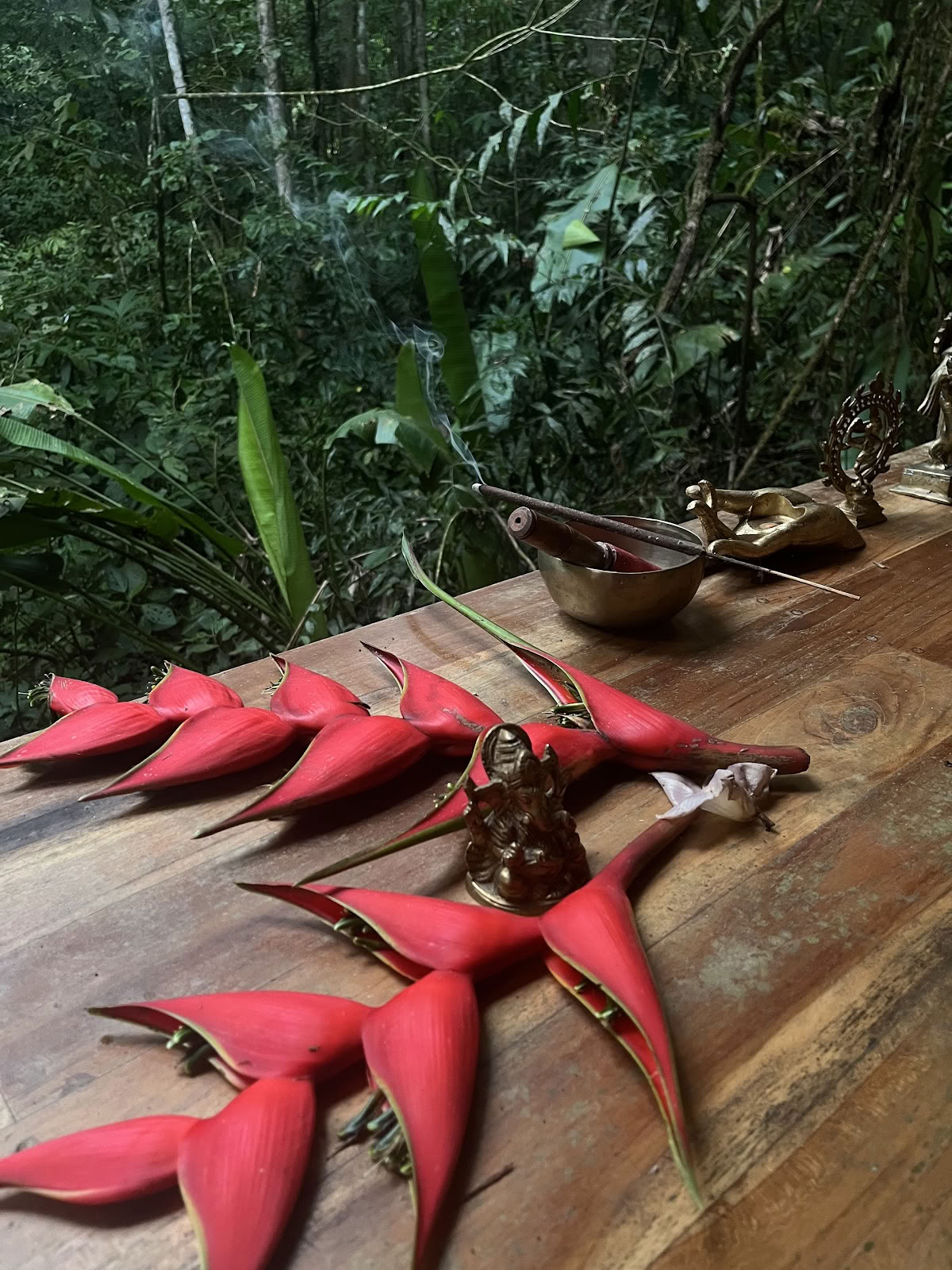 Shankara Retreat -keskus