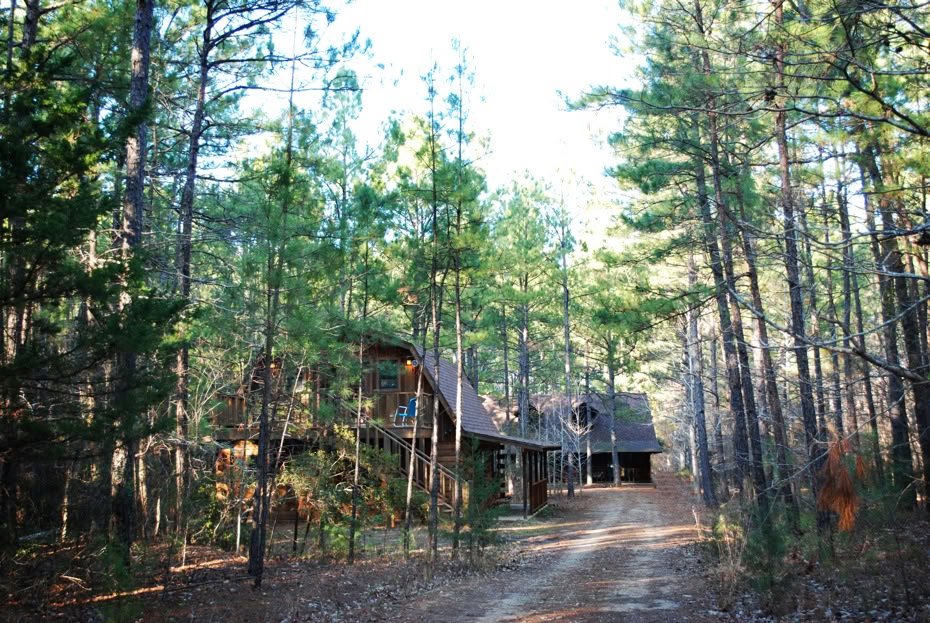 Metsäretriitti mäntymetsässä