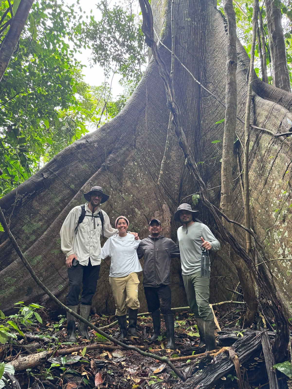 Planta Maestra Ayahuasca -parantamiskeskus, Iquitos, Peru