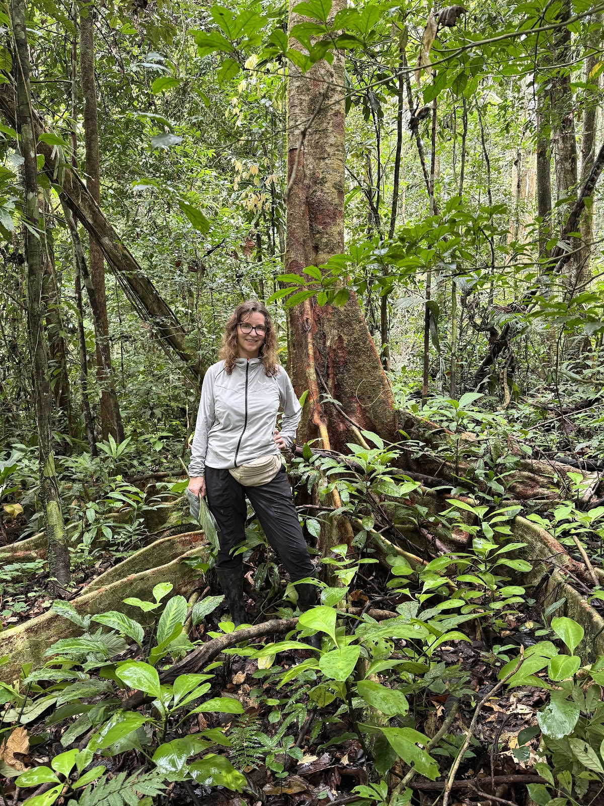 Planta Maestra Ayahuasca -parantamiskeskus, Iquitos, Peru