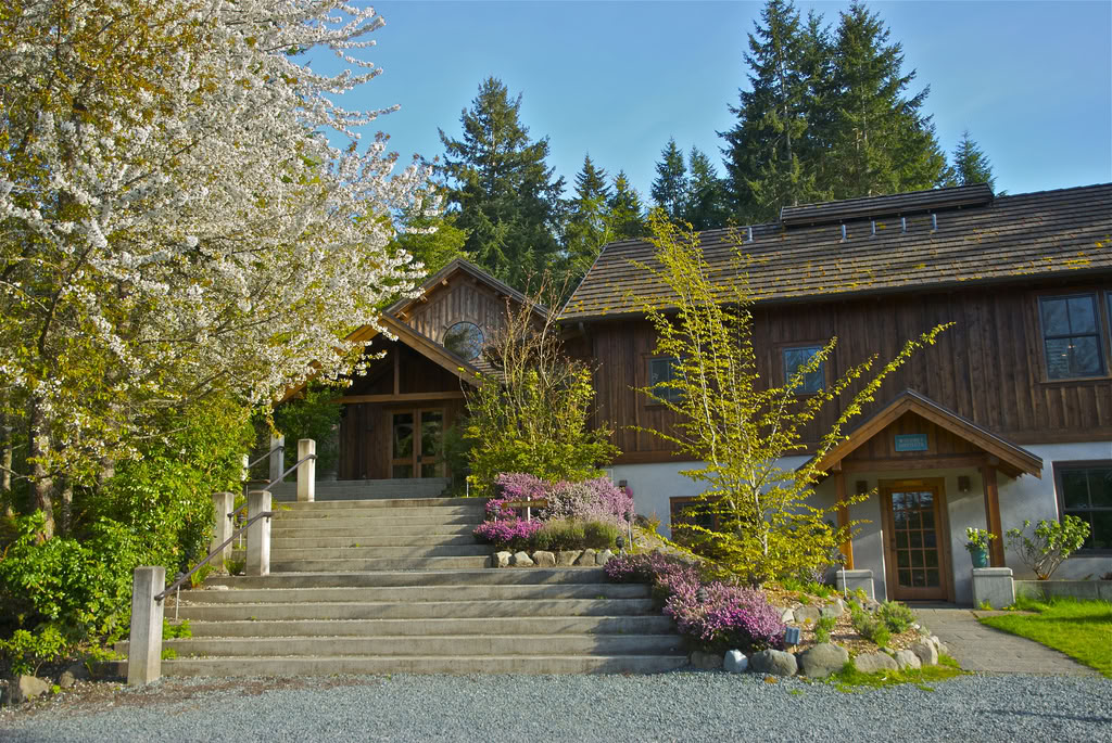 Whidbeyn instituutti