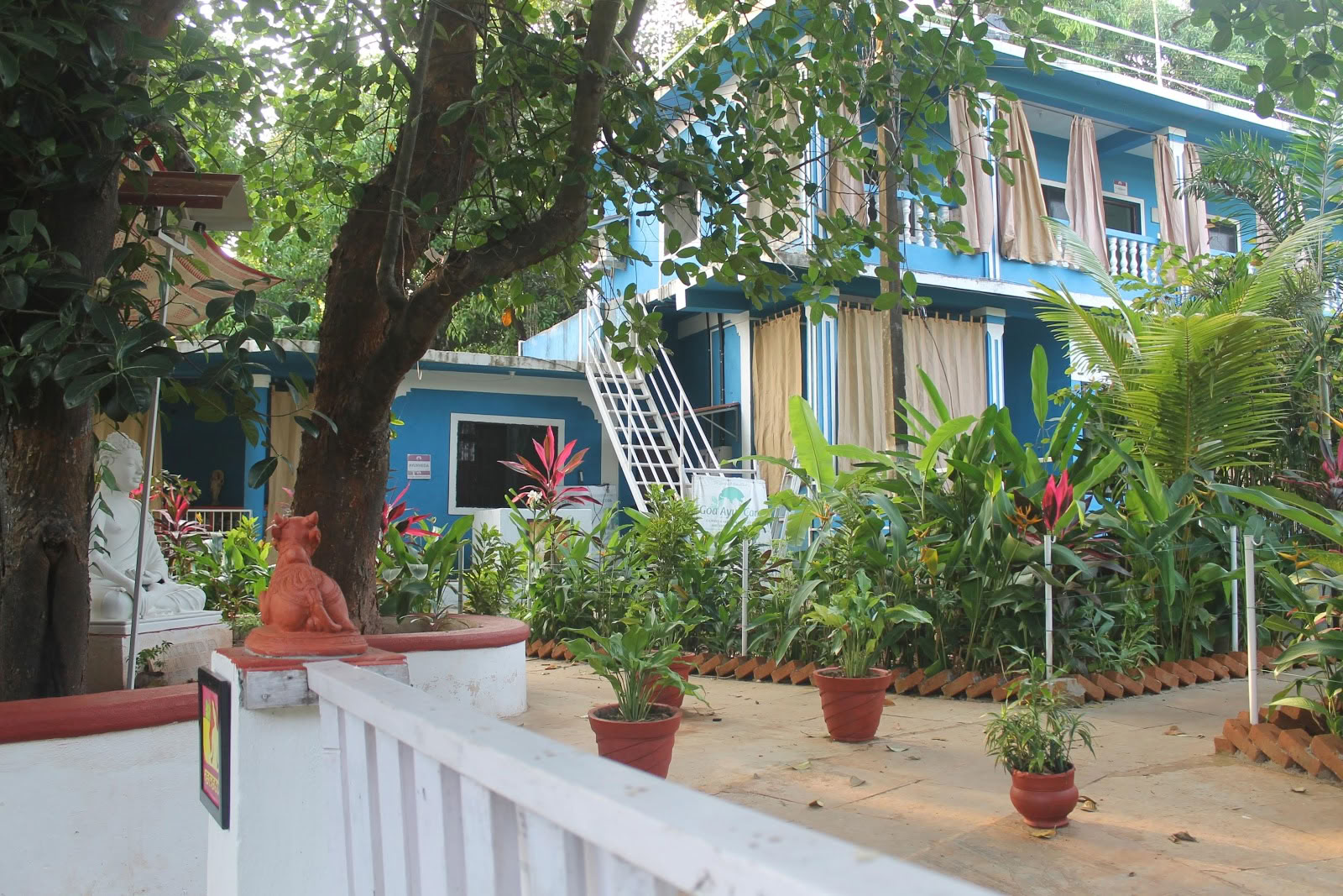 Preksha jooga