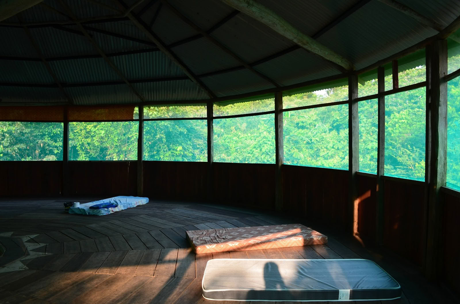 Virallinen Selva Madre Ayahuasca -retriitti, Iquitos, Peru